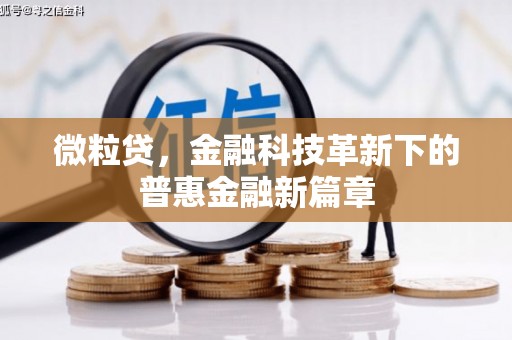 永定微粒贷，金融科技革新下的普惠金融新篇章