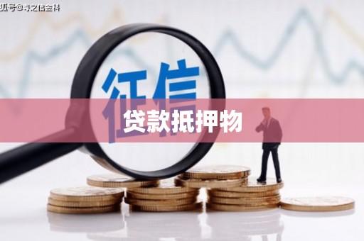 永定贷款抵押物