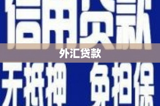永定外汇贷款