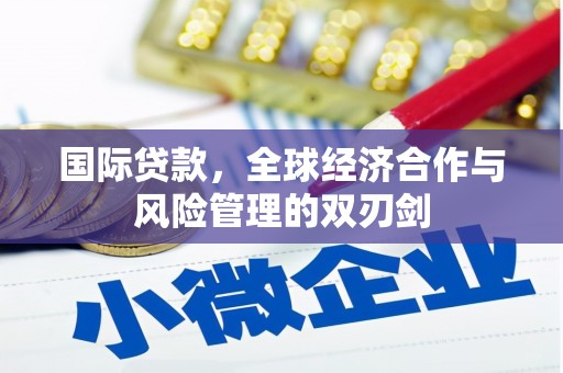 永定国际贷款，全球经济合作与风险管理的双刃剑