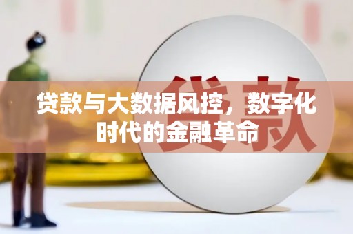 永定贷款与大数据风控，数字化时代的金融革命