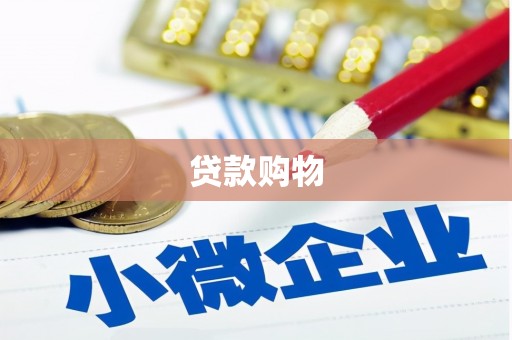 永定贷款购物
