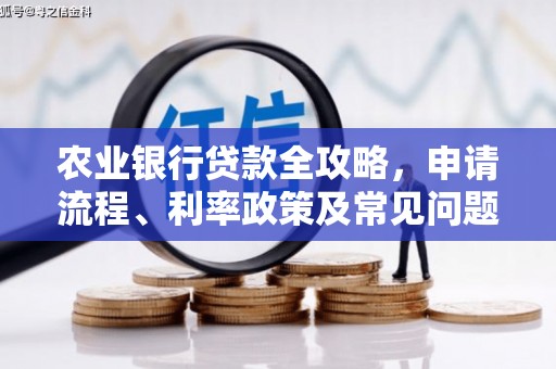 永定农业银行贷款全攻略，申请流程、利率政策及常见问题解析