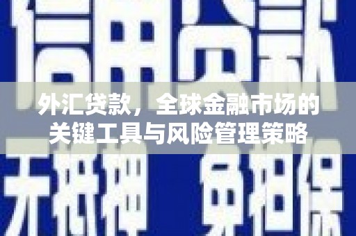 永定外汇贷款，全球金融市场的关键工具与风险管理策略