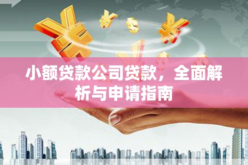 永定小额贷款公司贷款，全面解析与申请指南