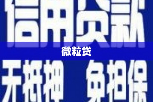 永定微粒贷