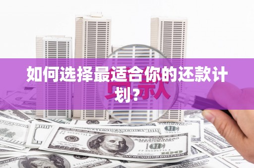 永定如何选择最适合你的还款计划？