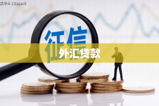 永定外汇贷款