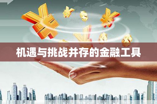 永定机遇与挑战并存的金融工具