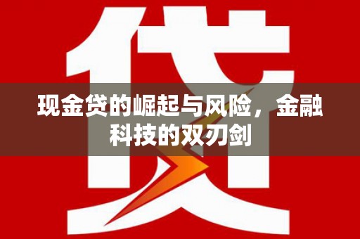 永定现金贷的崛起与风险，金融科技的双刃剑