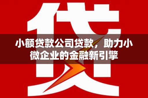 永定小额贷款公司贷款，助力小微企业的金融新引擎