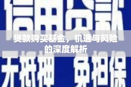 永定贷款购买基金，机遇与风险的深度解析