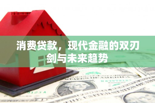 永定消费贷款，现代金融的双刃剑与未来趋势