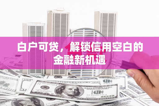 永定白户可贷，解锁信用空白的金融新机遇