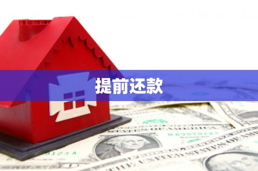 永定提前还款