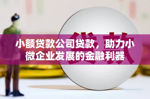 永定小额贷款公司贷款，助力小微企业发展的金融利器
