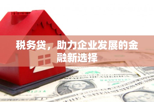 永定税务贷，助力企业发展的金融新选择