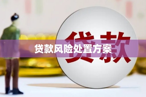 永定贷款风险处置方案