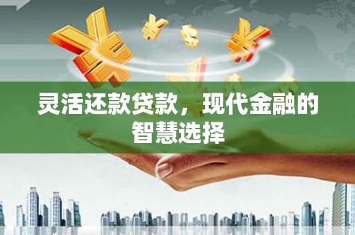 永定灵活还款贷款，现代金融的智慧选择