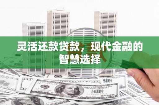 永定灵活还款贷款，现代金融的智慧选择
