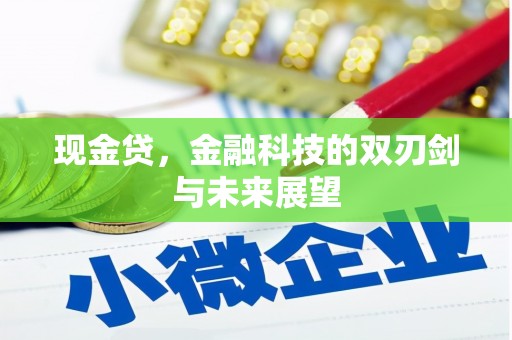 永定现金贷，金融科技的双刃剑与未来展望