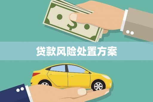 永定贷款风险处置方案