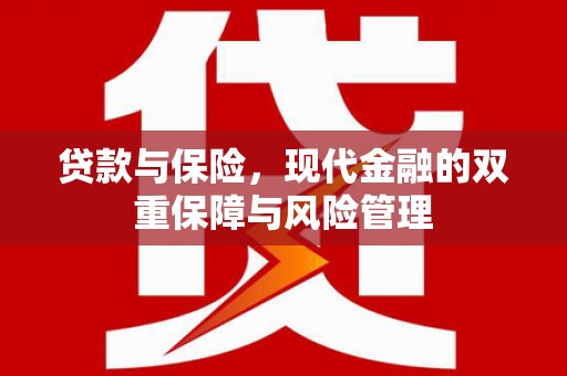 永定贷款与保险，现代金融的双重保障与风险管理