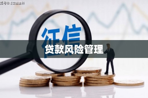 永定贷款风险管理