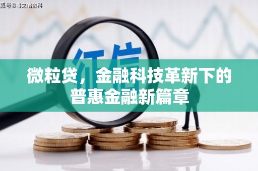 永定微粒贷，金融科技革新下的普惠金融新篇章