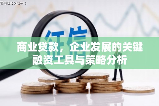 永定商业贷款，企业发展的关键融资工具与策略分析