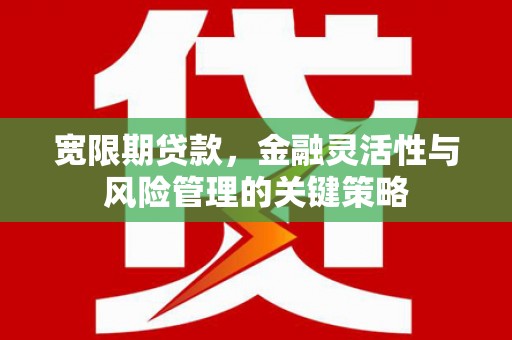 永定宽限期贷款，金融灵活性与风险管理的关键策略
