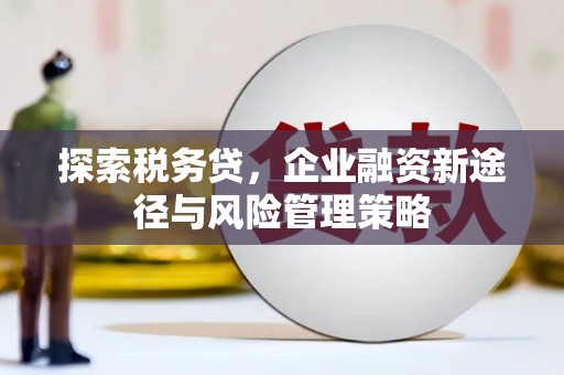 永定探索税务贷，企业融资新途径与风险管理策略