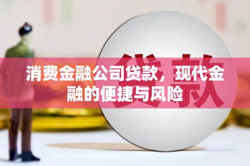 永定消费金融公司贷款，现代金融的便捷与风险