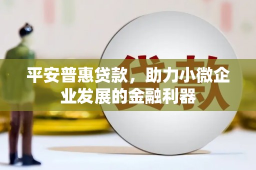 永定平安普惠贷款，助力小微企业发展的金融利器