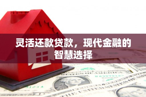 永定灵活还款贷款，现代金融的智慧选择