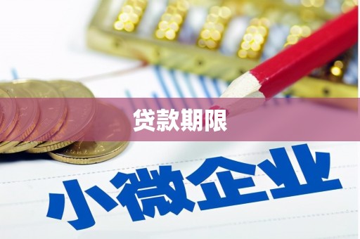 永定贷款期限