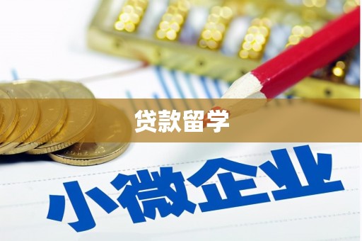 永定贷款留学