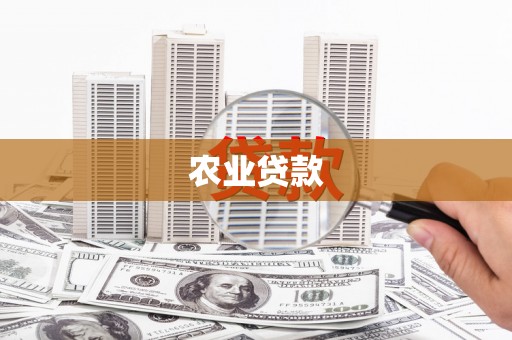 永定农业贷款