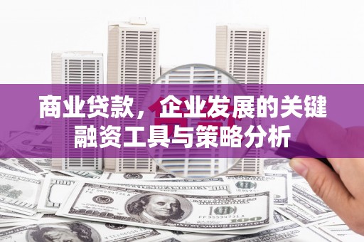 永定商业贷款，企业发展的关键融资工具与策略分析