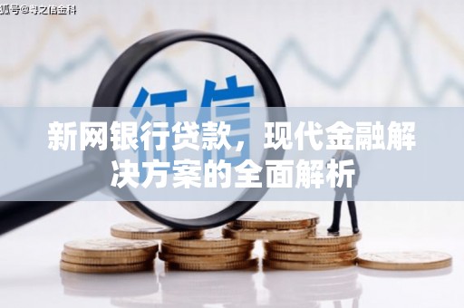 永定新网银行贷款，现代金融解决方案的全面解析