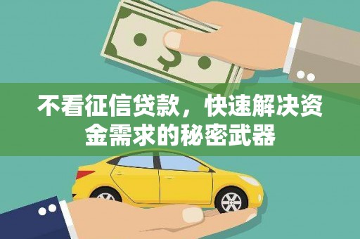 永定不看征信贷款，快速解决资金需求的秘密武器