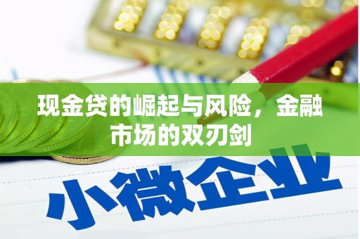 永定现金贷的崛起与风险，金融市场的双刃剑