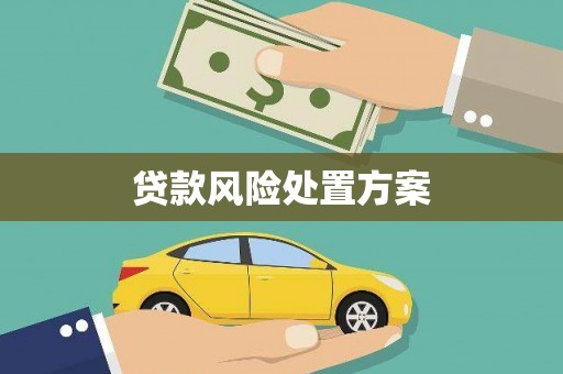 永定贷款风险处置方案
