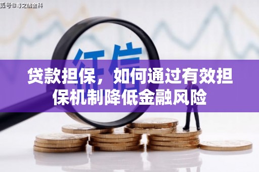 永定贷款担保，如何通过有效担保机制降低金融风险