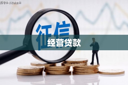永定经营贷款