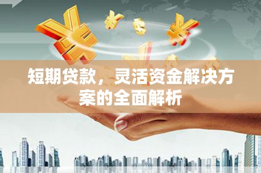 永定短期贷款，灵活资金解决方案的全面解析