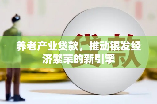 永定养老产业贷款，推动银发经济繁荣的新引擎