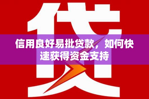 永定信用良好易批贷款，如何快速获得资金支持