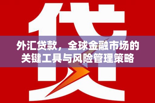 永定外汇贷款，全球金融市场的关键工具与风险管理策略
