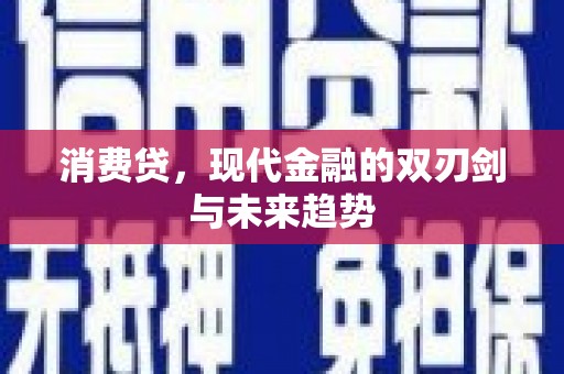 永定消费贷，现代金融的双刃剑与未来趋势